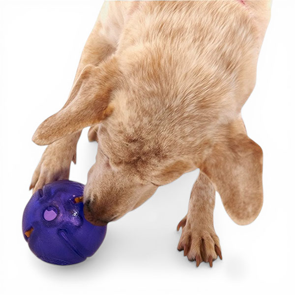 Pes s hračkou Orbee-Tuff